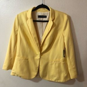 The Limited Blazer